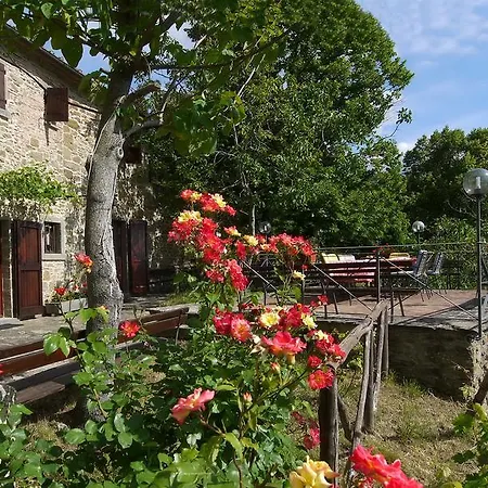 Chiara Villa